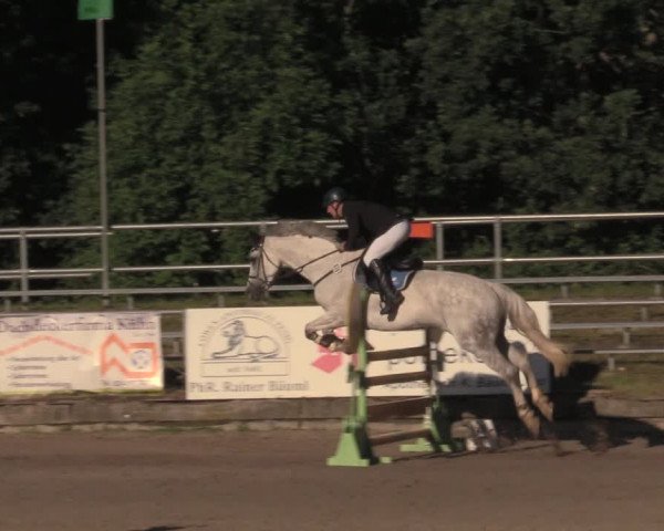 Reitturnier Lgl.-Oberhain, B95 2020
