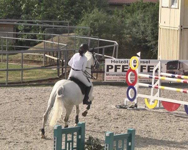 Reitturnier Worms-Pfeddersheim / Reitsportanlage Wittemer 2020