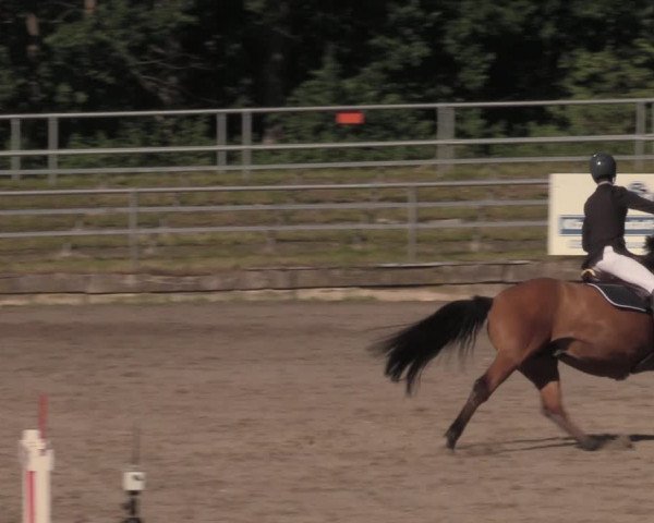 Reitturnier Lgl.-Oberhain, B95 2020