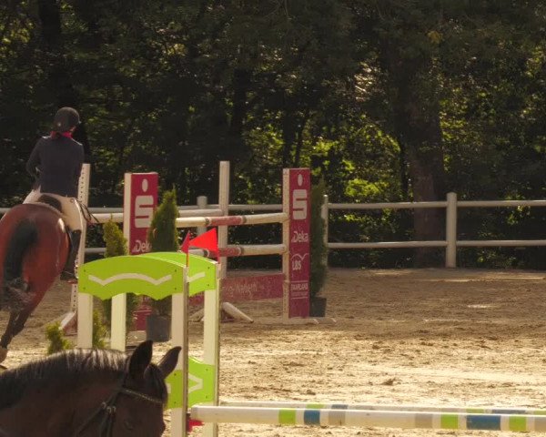 Reitturnier Losheim 2020