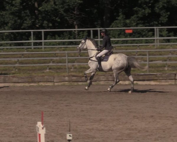 Reitturnier Lgl.-Oberhain, B95 2020