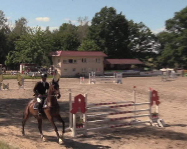 Reitturnier Lgl.-Oberhain, B95 2020
