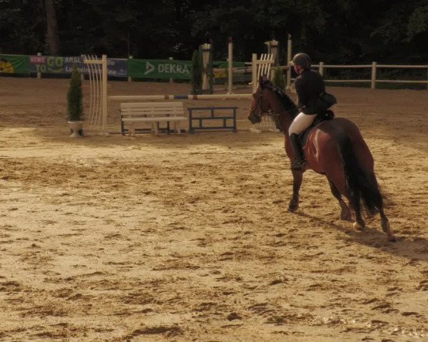 Reitturnier Losheim 2020