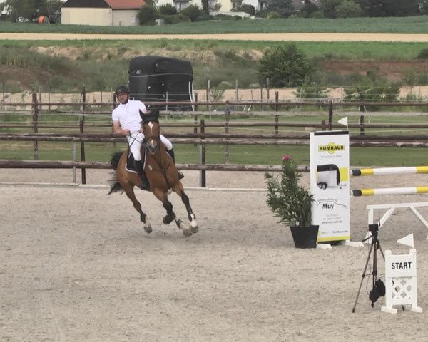 Reitturnier Worms-Pfeddersheim / Reitsportanlage Wittemer 2020