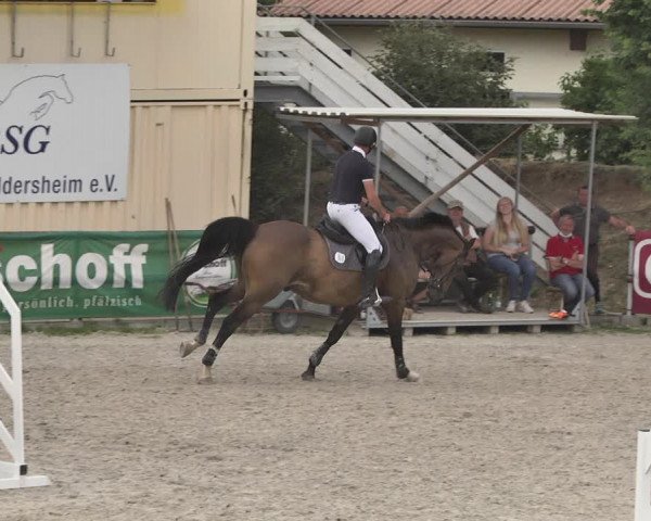 Reitturnier Worms-Pfeddersheim / Reitsportanlage Wittemer 2020