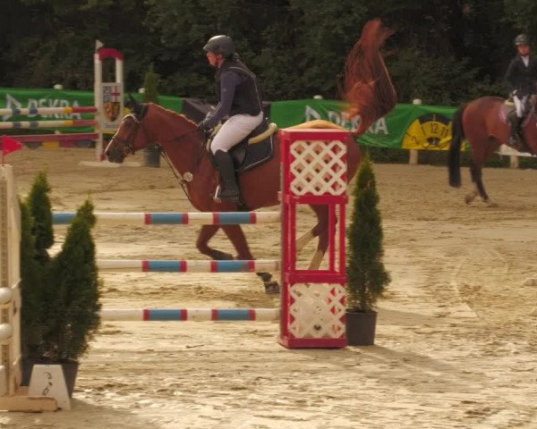 Reitturnier Losheim 2020