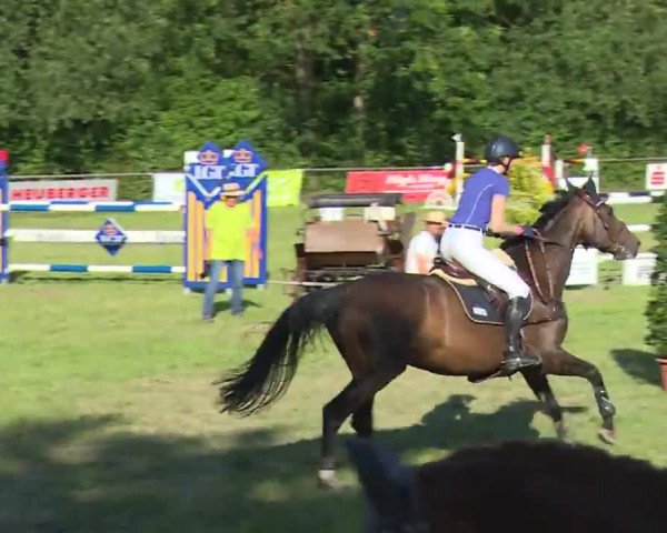 Reitturnier Hahnbach/Opf. 2020