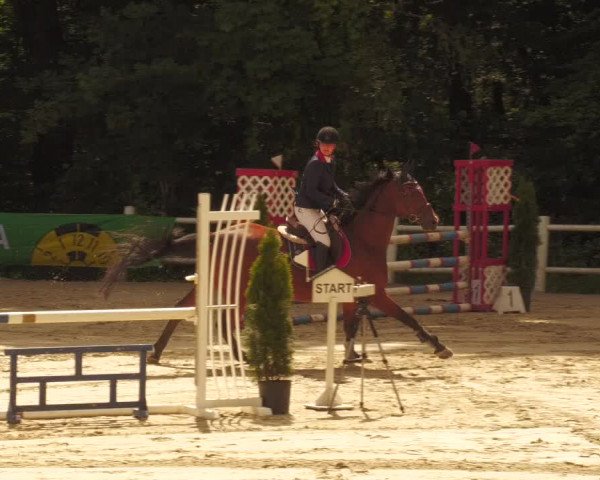 Reitturnier Losheim 2020