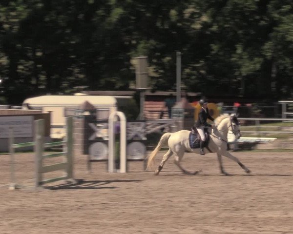Reitturnier Lgl.-Oberhain, B95 2020