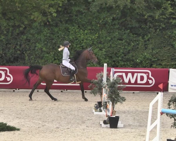 Reitturnier Worms-Pfeddersheim / Reitsportanlage Wittemer 2020
