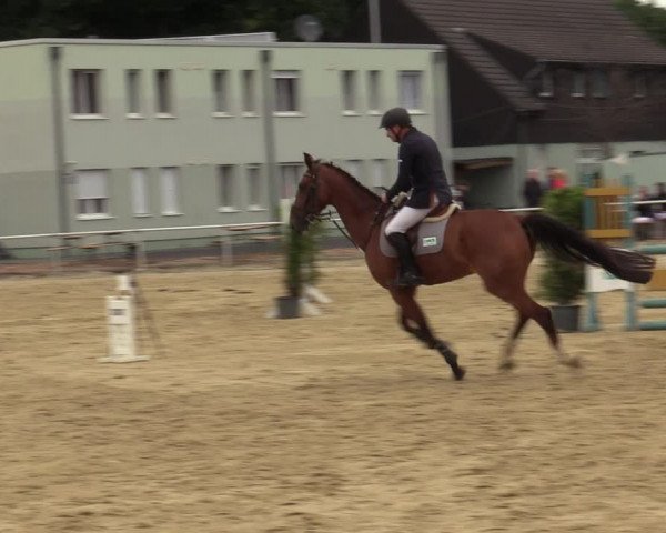 Reitturnier Hünxe-Bruckhausen 2020