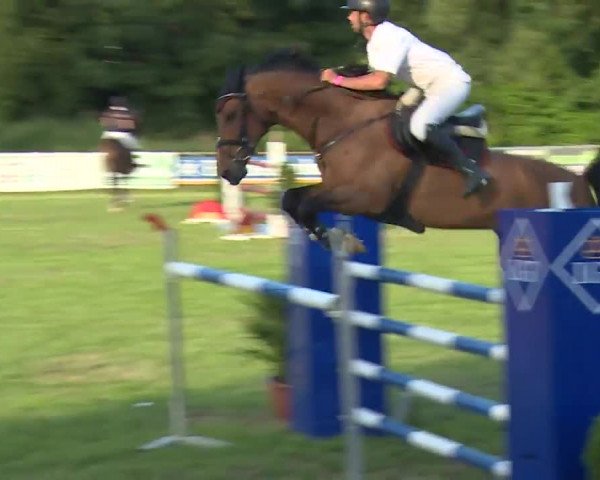 Reitturnier Hahnbach/Opf. 2020