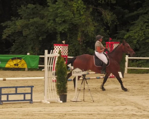 Reitturnier Losheim 2020