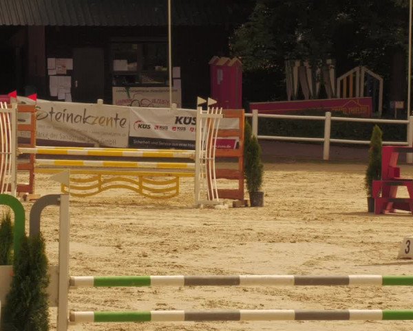 Reitturnier Losheim 2020