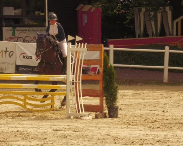 Reitturnier Losheim 2020