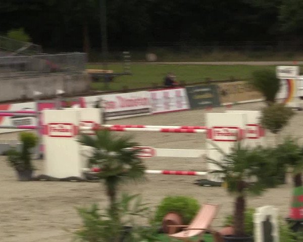 Reitturnier Westergellersen - Luhmühlen 2020
