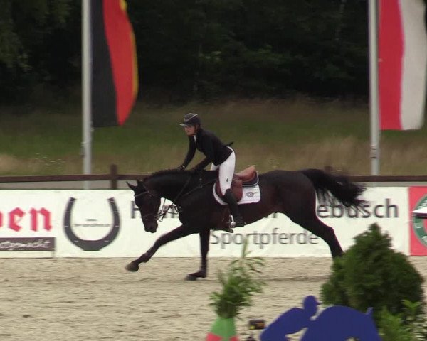 Reitturnier Westergellersen - Luhmühlen 2020