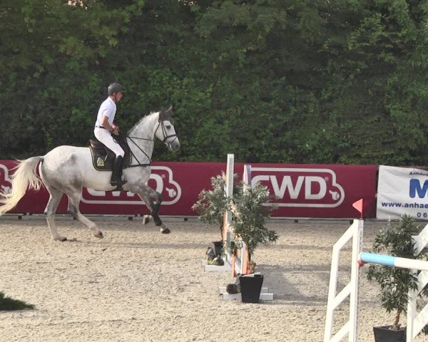 Reitturnier Worms-Pfeddersheim / Reitsportanlage Wittemer 2020