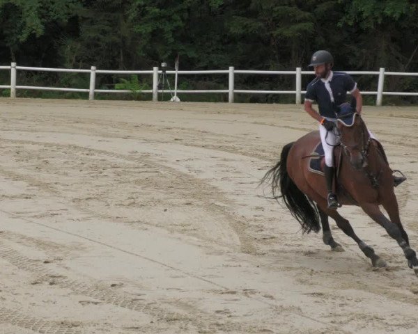 Reitturnier Losheim 2020