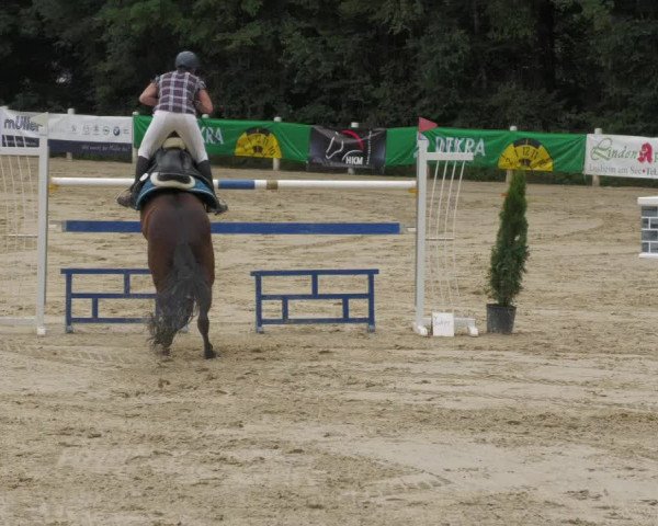 Reitturnier Losheim 2020