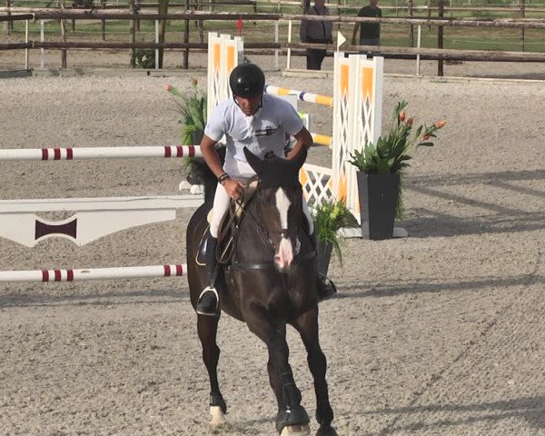 Reitturnier Worms-Pfeddersheim / Reitsportanlage Wittemer 2020