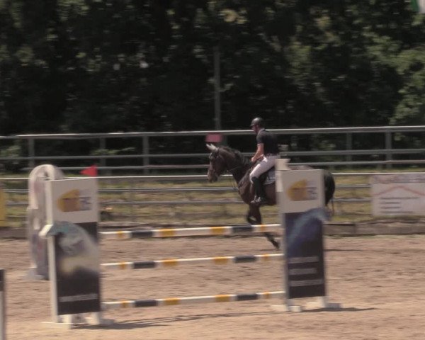 Reitturnier Lgl.-Oberhain, B95 2020