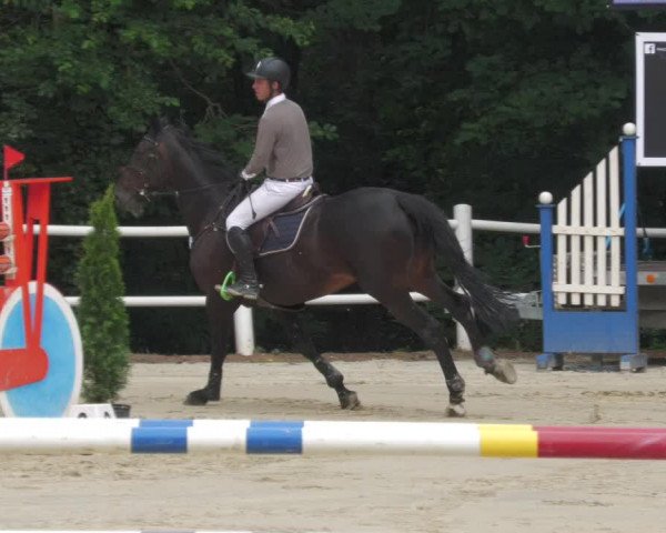 Reitturnier Losheim 2020