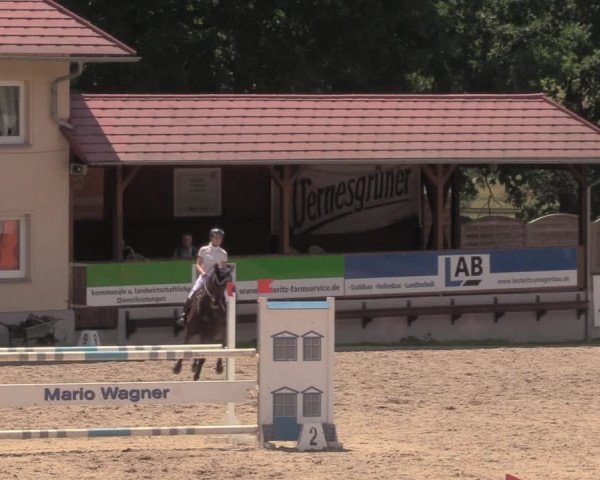 Reitturnier Lgl.-Oberhain, B95 2020