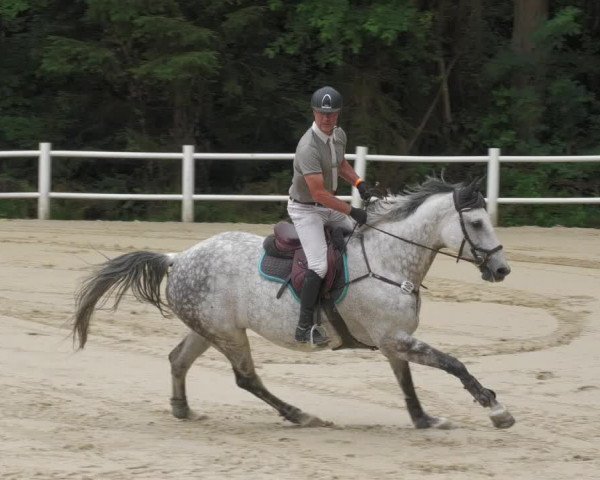 Reitturnier Losheim 2020