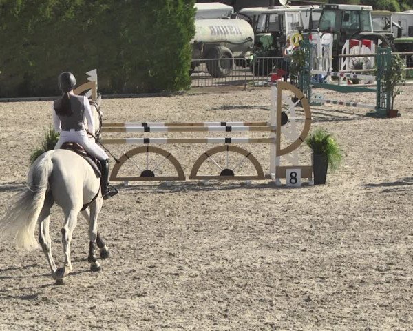 Reitturnier Worms-Pfeddersheim / Reitsportanlage Wittemer 2020