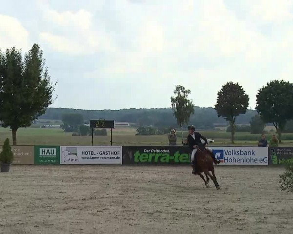Süddeutsche Ponymeisterschaften Rot am See- Musdorf 2021