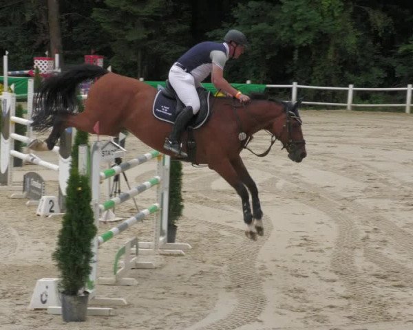 Reitturnier Losheim 2020