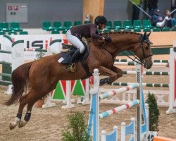 jumper Banjo Boy (KWPN (Royal Dutch Sporthorse), 2006, from Sjapoo)