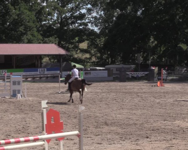 Reitturnier Lgl.-Oberhain, B95 2020