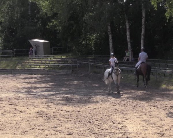 Reitturnier Lgl.-Oberhain, B95 2020