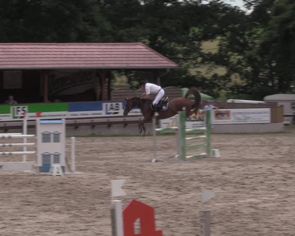 Reitturnier Lgl.-Oberhain, B95 2020