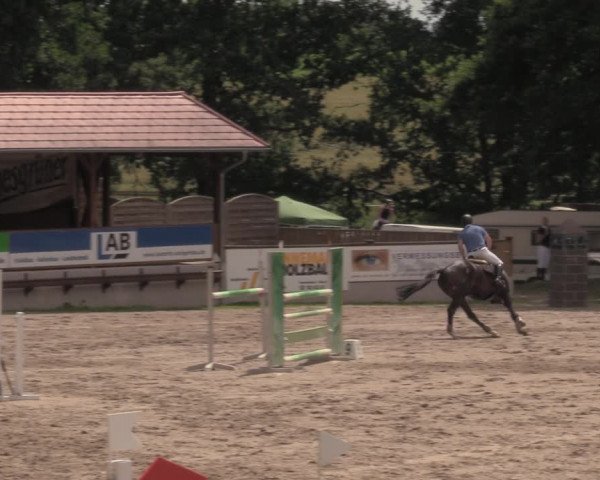 Reitturnier Lgl.-Oberhain, B95 2020
