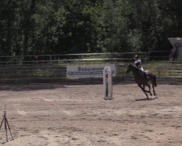 Reitturnier Lgl.-Oberhain, B95 2020
