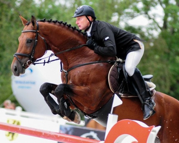 Springpferd Ares (unbekannt, 2005, von Cantanis)