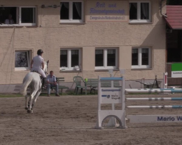 Reitturnier Lgl.-Oberhain, B95 2020