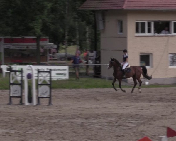 Reitturnier Lgl.-Oberhain, B95 2020