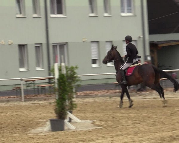 Reitturnier Hünxe-Bruckhausen 2020
