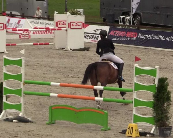 Reitturnier Westergellersen - Luhmühlen 2020