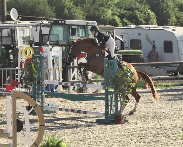 Reitturnier Worms-Pfeddersheim / Reitsportanlage Wittemer 2020