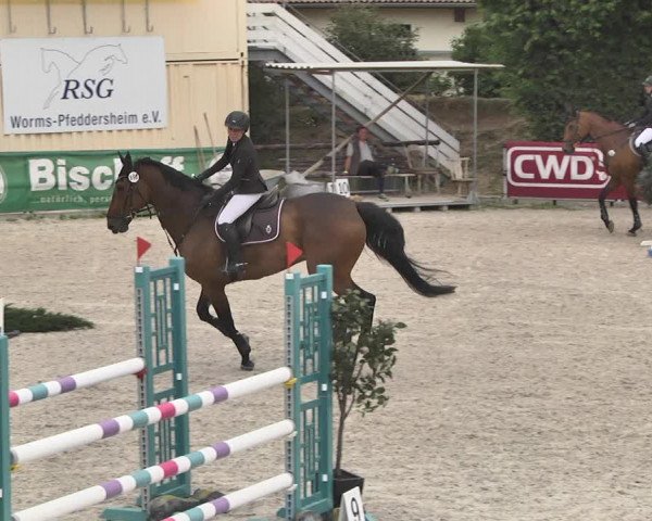 Reitturnier Worms-Pfeddersheim / Reitsportanlage Wittemer 2020