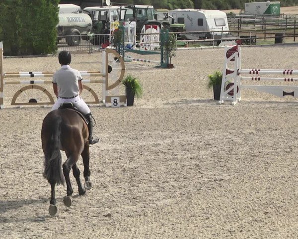 Reitturnier Worms-Pfeddersheim / Reitsportanlage Wittemer 2020