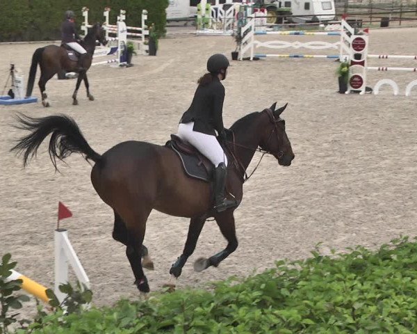 Reitturnier Worms-Pfeddersheim / Reitsportanlage Wittemer 2020