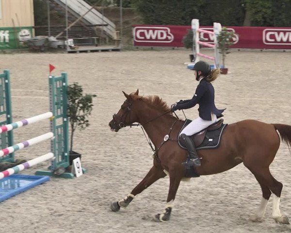 Reitturnier Worms-Pfeddersheim / Reitsportanlage Wittemer 2020