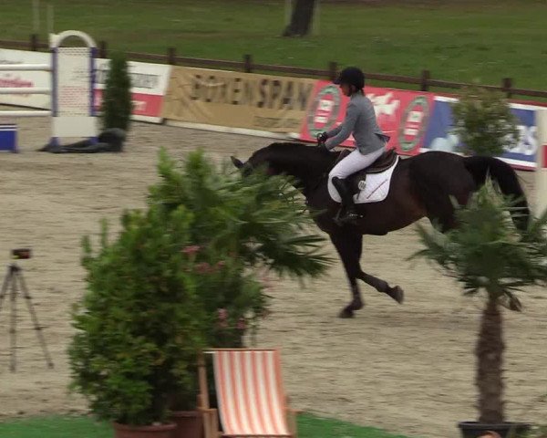 Reitturnier Westergellersen - Luhmühlen 2020