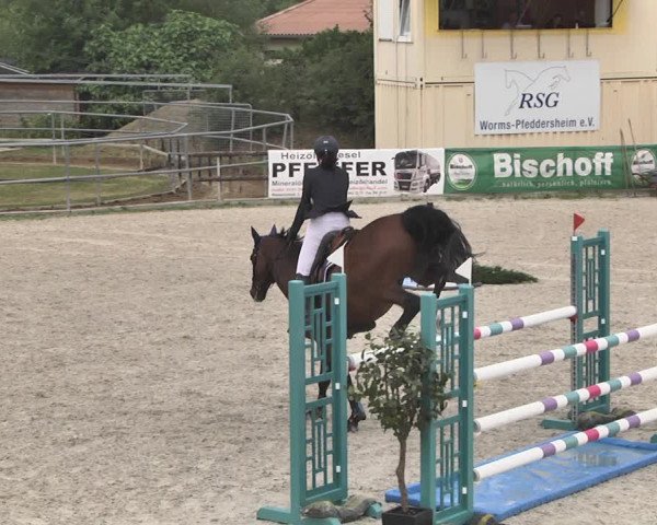 Reitturnier Worms-Pfeddersheim / Reitsportanlage Wittemer 2020
